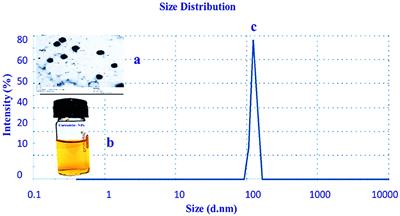 Curcumin nanoparticles as a natural antioxidant and antimicrobial preservative against foodborne pathogens in processed chicken fingers